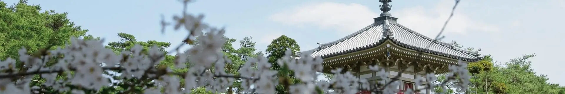春景色1
