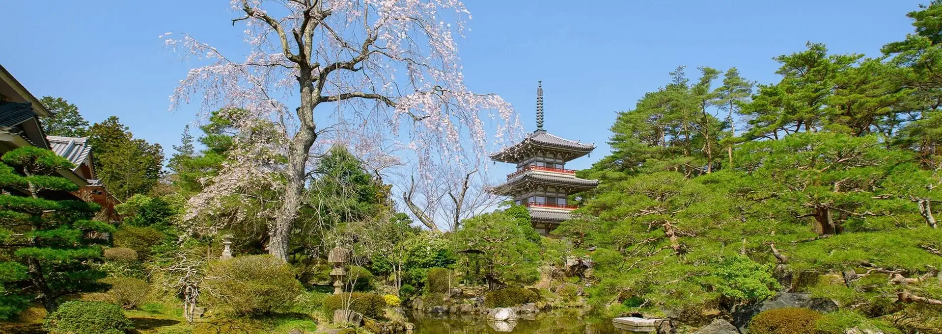 春景色14