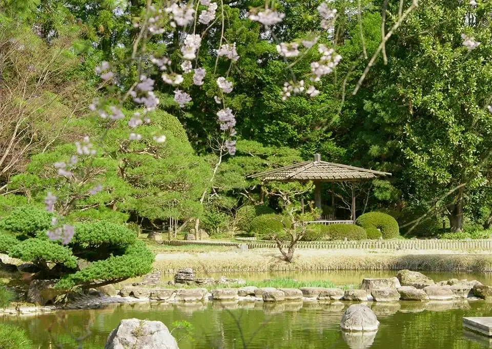 春景色9